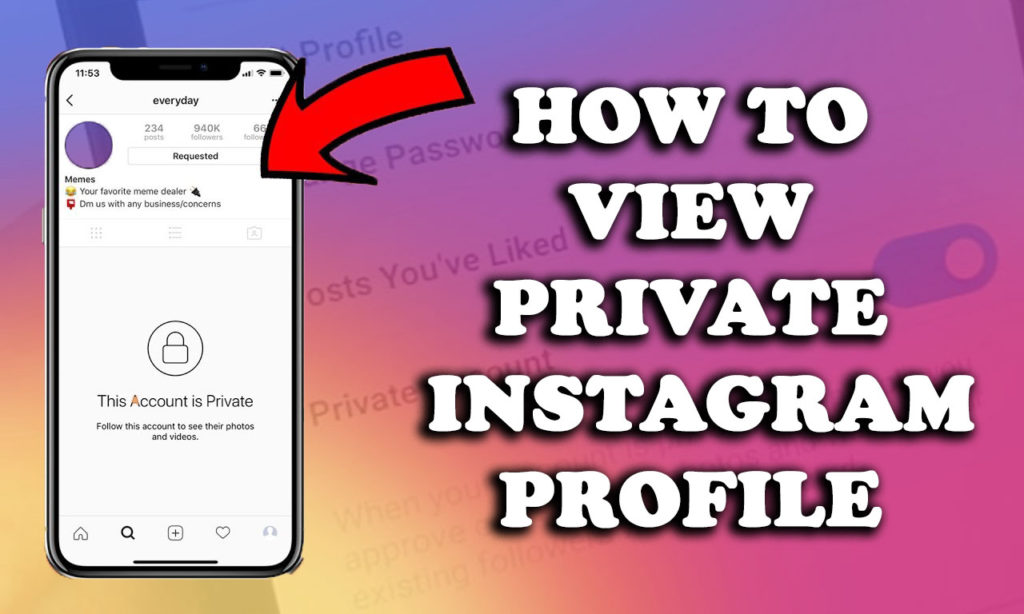 How to View Private Instagram Profile in 2022 - Find how to do