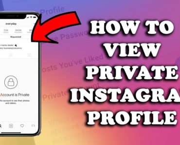 how-to-view-private-instagram-profile-in-2021-370x297 